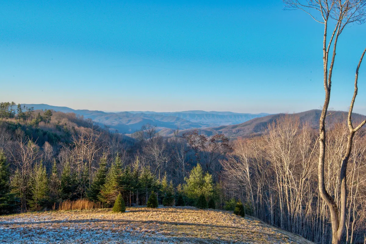 A panoramic view of distant mountain ranges framed by bare and evergreen trees, this image embodies the area’s natural beauty. The scene is inviting for hikers, nature lovers, and anyone seeking tranquil moments or wildlife encounters, supporting the section’s focus on trails and nature immersion.